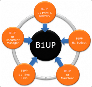 B1u