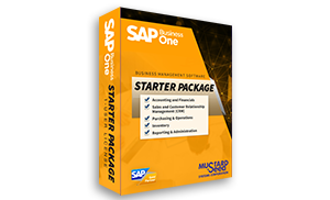 Sap B1