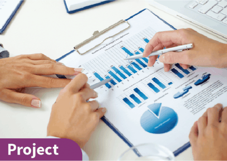 Project Manager