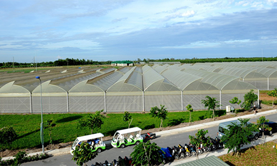 Khangthinh